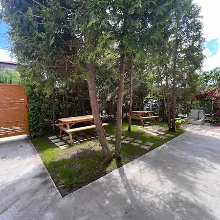 Serenity And * 데포리노드